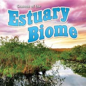 Seasons Of The Estuary Biome