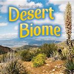 Seasons Of The Desert Biome