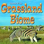 Seasons Of The Grassland Biome