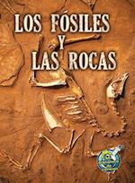 Los Fósiles Y Las Rocas