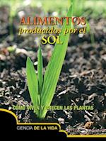 Alimentos Producidos Por El Sol