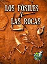 Los fósiles y las rocas