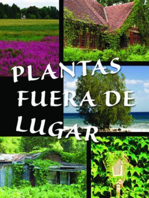 Plantas fuera de lugar