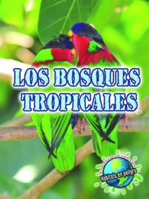 Los bosques tropicales