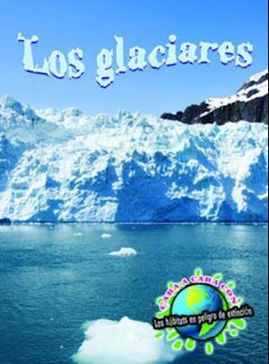 Los glaciares