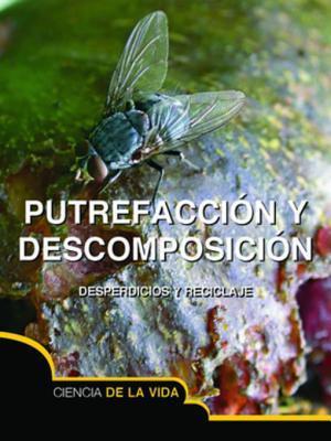 Putrefacción y descomposición