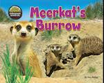 Meerkat's Burrow