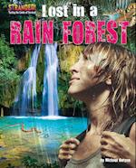 Lost in a Rain Forest