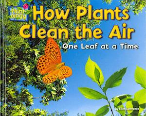 How Plants Clean the Air