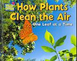 How Plants Clean the Air