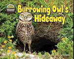Burrowing Owl's Hideaway