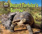 Desert Tortoise's Burrow