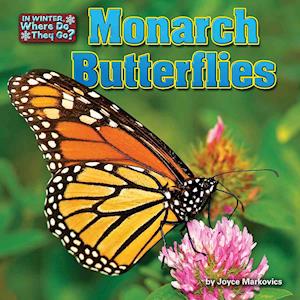 Monarch Butterflies