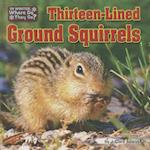 Thirteen-Lined Ground Squirrels