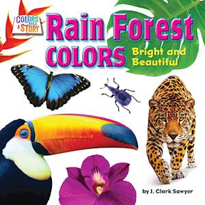 Rain Forest Colors