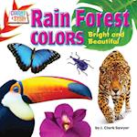 Rain Forest Colors
