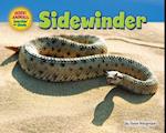 Sidewinder