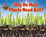 Why Do Most Plants Need Soil?