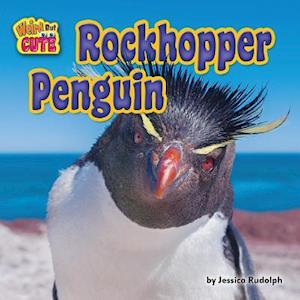 Rockhopper Penguin