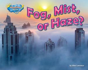 Fog, Mist, or Haze?