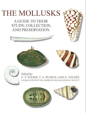 The Mollusks