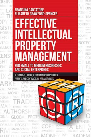 Effective Intellectual Property Management for Small to Medium Businesses and Social Enterprises