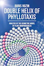 Double Helix of Phyllotaxis