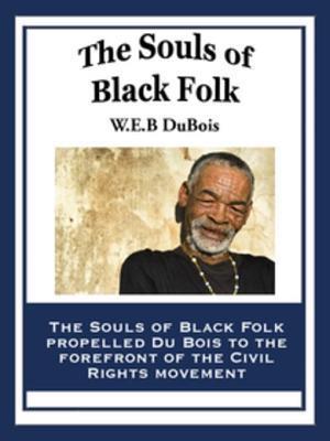 Souls of Black Folk