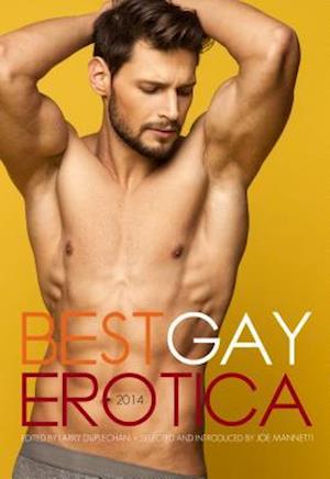 Best Gay Erotica 2014