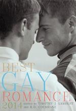 Best Gay Romance 2014