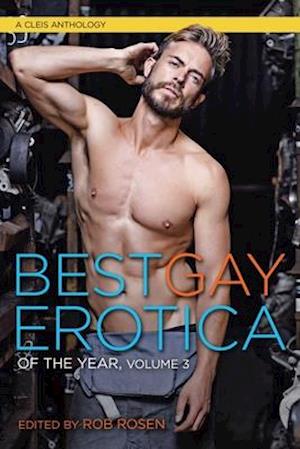 Best Gay Erotica of the Year, Volume 3
