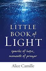 A Little Book of Light