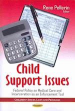 Child Support Issues