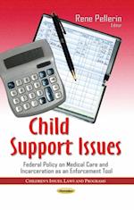 Child Support Issues