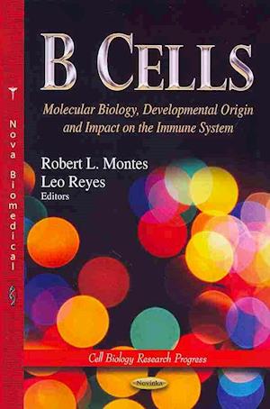 B Cells