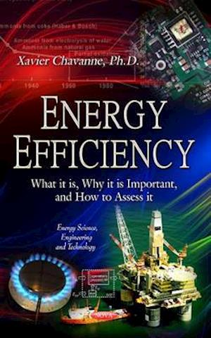 Energy Efficiency