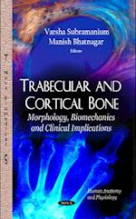 Trabecular & Cortical Bone