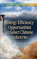 Energy Efficiency Opportunities in Select Chinese Industries