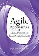 Hobbs, B:  Agile Approaches on Large Projects in Large Organ