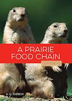 A Prairie Food Chain