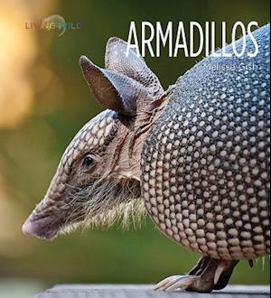 Armadillos