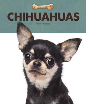 Chihuahuas