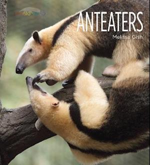 Anteaters