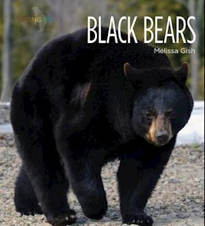 Black Bears