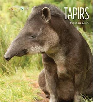 Tapirs