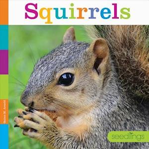 Squirrels