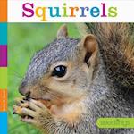 Squirrels