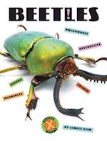 Beetles