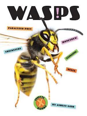 Wasps