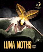 Luna Moths